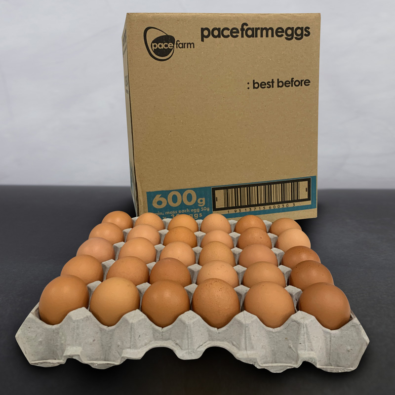 Eggs - 600gram Fillers